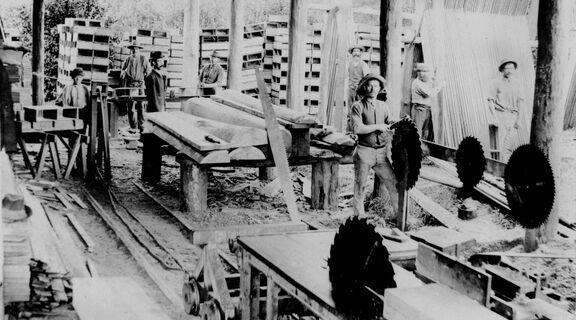 Workers at Sawmill in Nerang circa 1896
