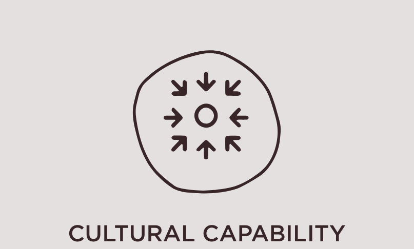 Title reading Cultural capability. Illustrated icon to represent cultural capability. A small circle surrounded by arrows from all directions, pointing inward. Inside a drawn circle.