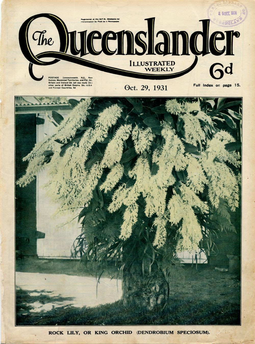 Illustrated front cover from The Queenslander, October 29, 1931.