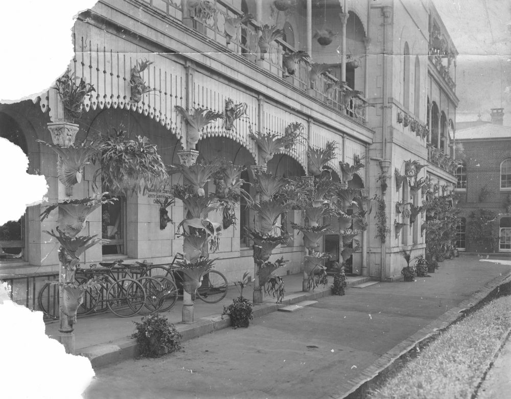 Bicycles parked outside the Lands and Works Office, 1904