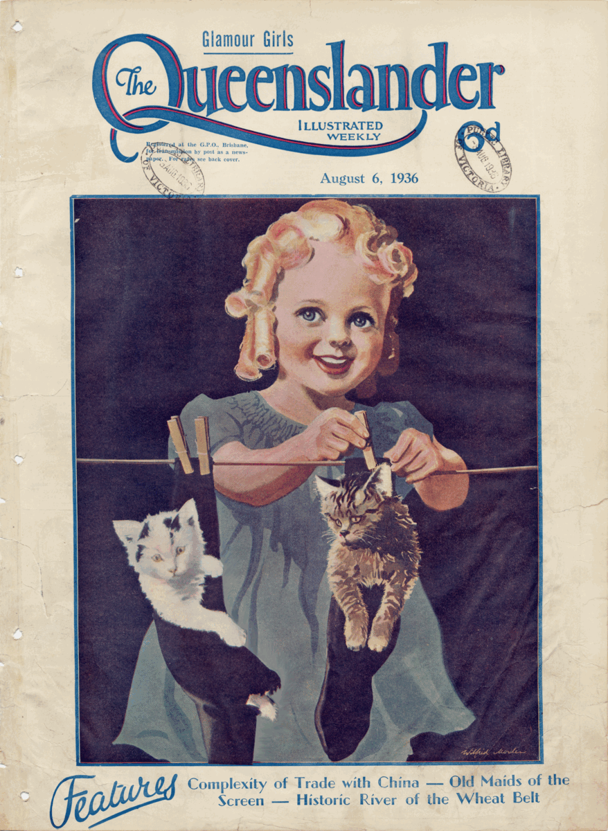 GIF The Queenslanders Kittens Fed Pani