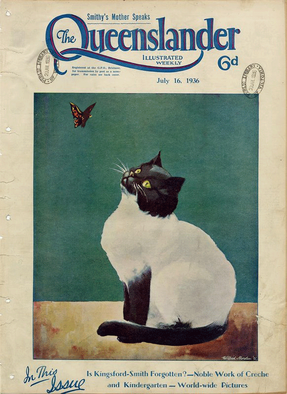 GIF The Queenslander Cat Michelle Brown