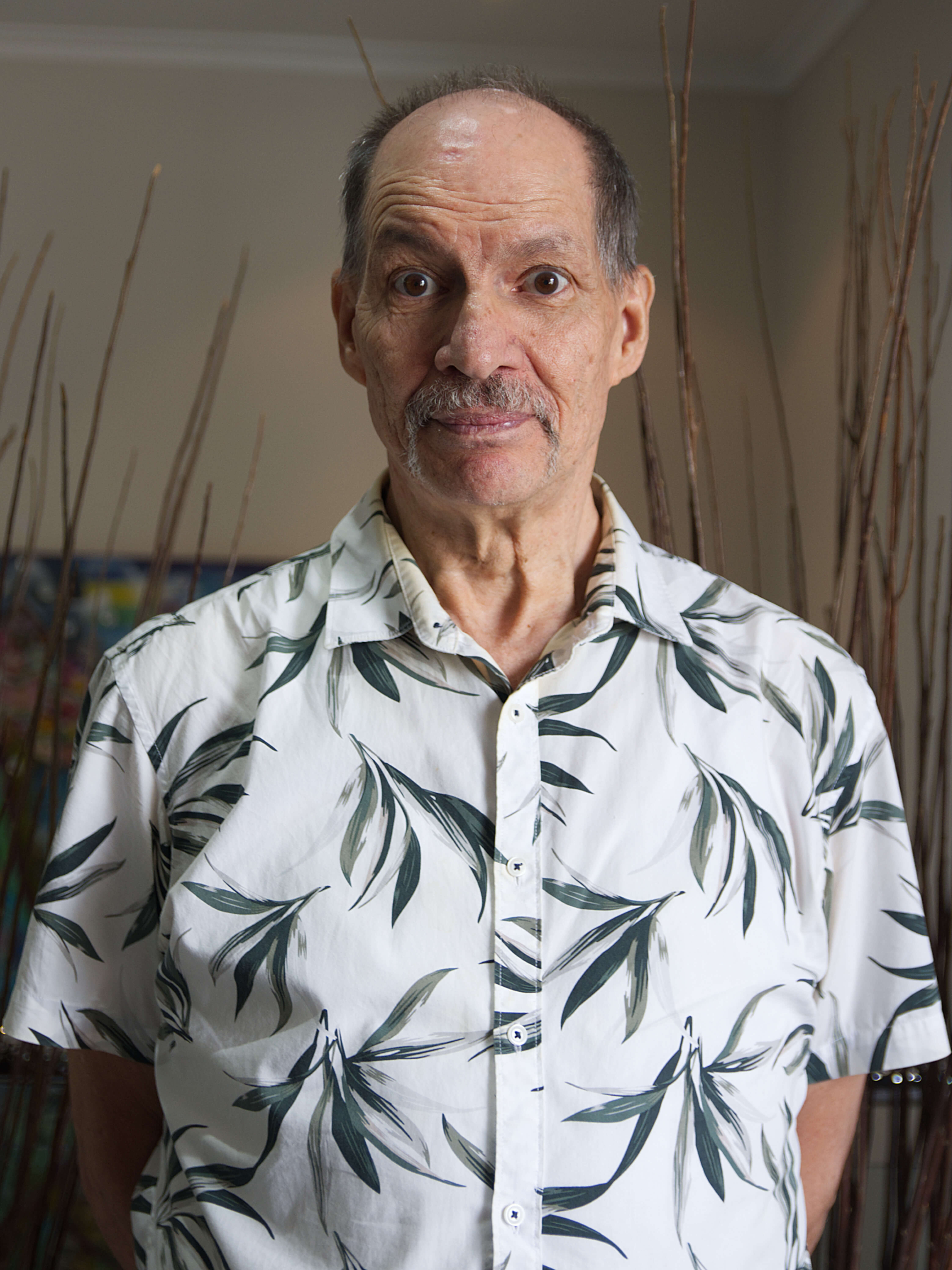 photographic portrait of Paul Morwood, a man with grey black hair, and moustache, wearing a white buttoned shirt with a green plant pattern