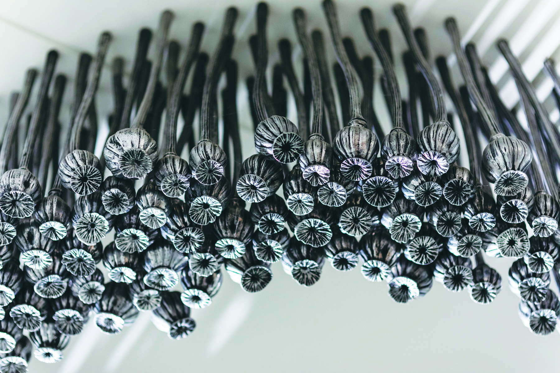 Black Opium (detail) artwork by Fiona Foley Closeup of part of artwork called Black Opium by Fiona Foley of suspended poppy heads arranged in the shape of the infinity symbol