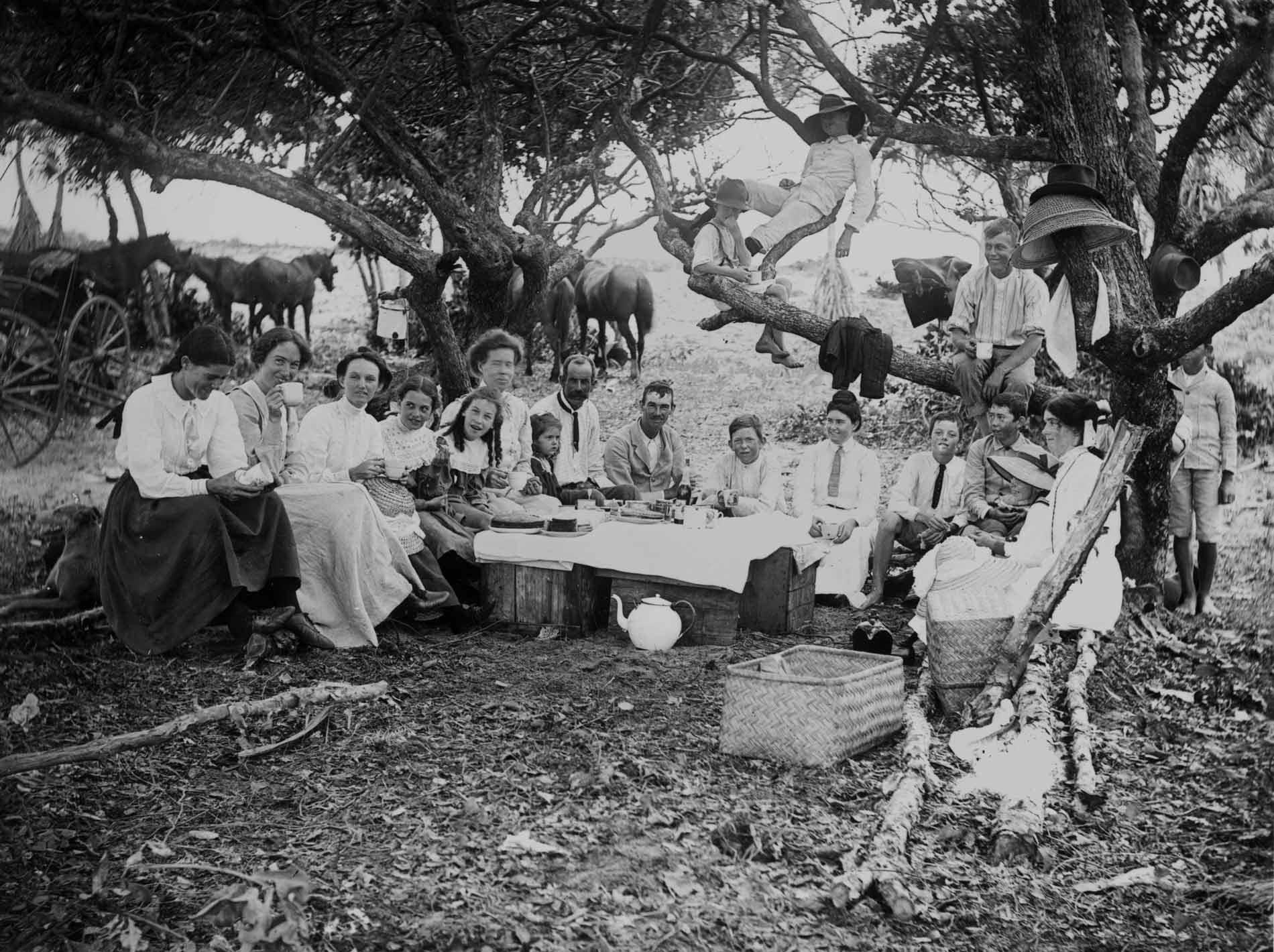 Family picnic in the Queensland bush 1900-1910