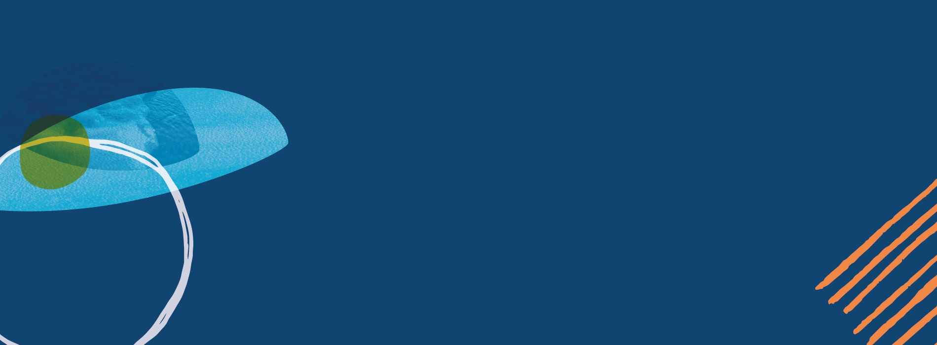 Next Library visual identity Next Library visual identity header image