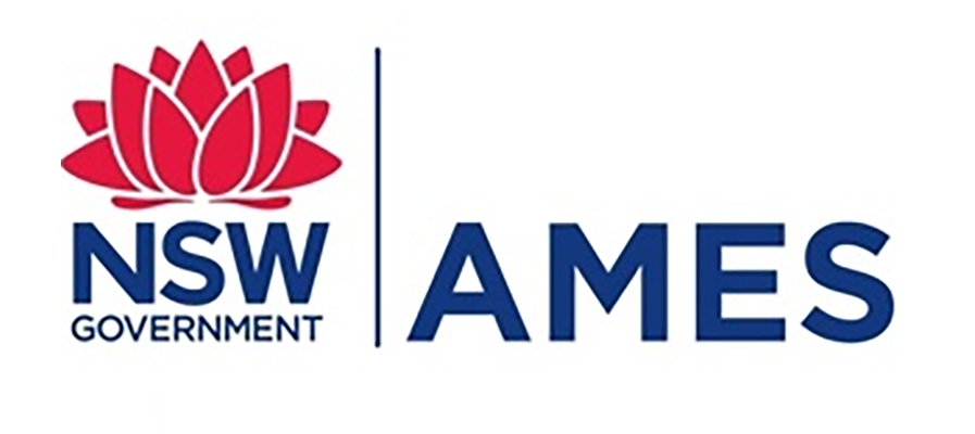 AMES database logo