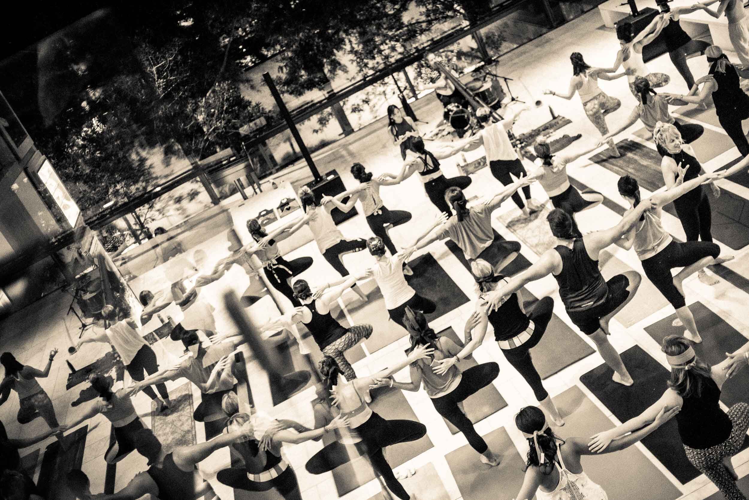Group of Yoga Participants Group of Yoga Participants