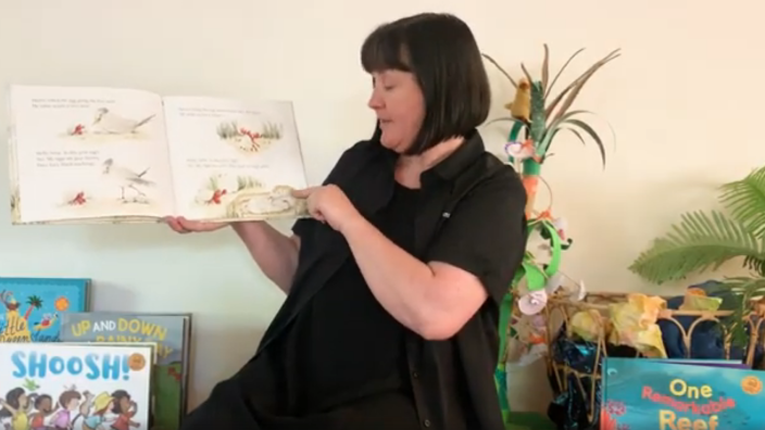 Woman reading a book for online story time