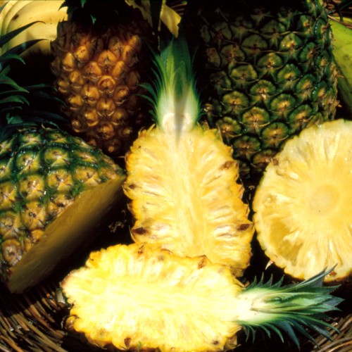 Array of juicy pineapples in a woven basket in Townsville, 1986