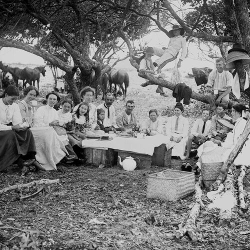 Black and white image of a family picnic in the Queensland bush in early 1900s.