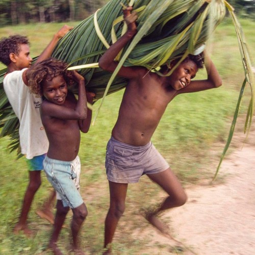 Boys carrying a bundle of cabbage palm leaves