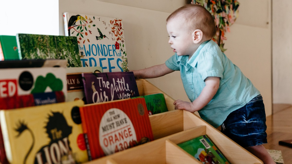 Little boy selecting his favourite book 
