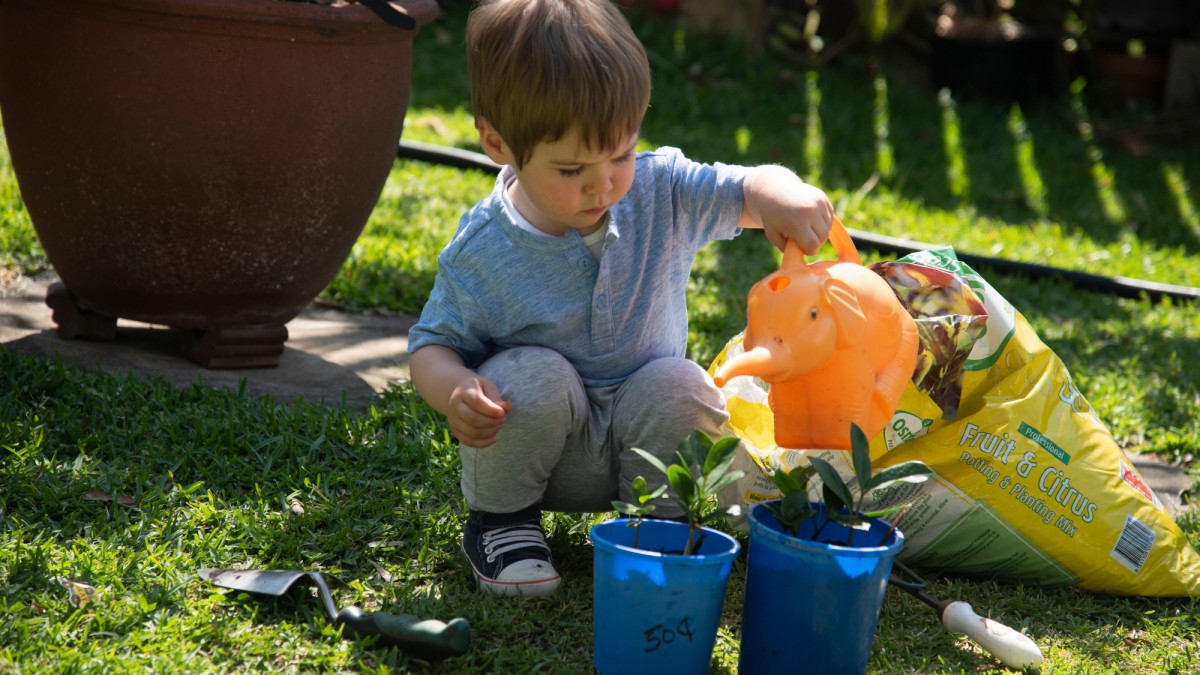 Young boy watering pot plants with elephant watering can