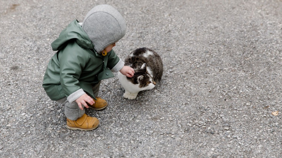 Toddler with pet cat