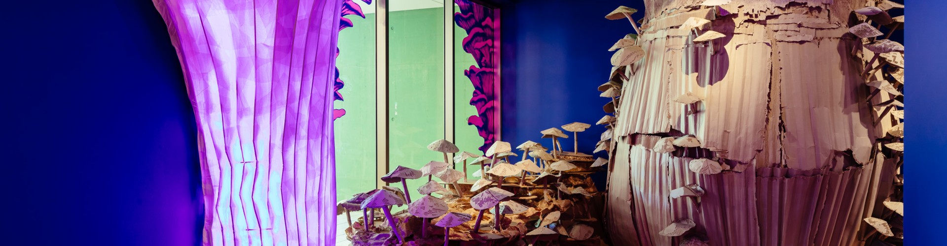 A very large cardboard mushroom with purple and green lights behind a medium size cardboard mushroom with purple lights Both mushrooms are surrounded by smaller cardboard mushrooms