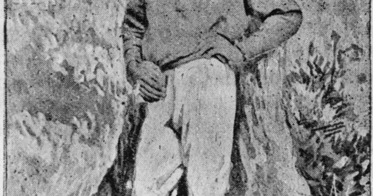 Bush Ranger Qld The