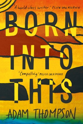The cover of Born Into This by Adam Thompson showing stylised mountains sky and water in reds yellow blue and black