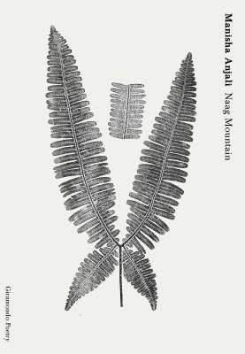 Cover of Naag Mountain by Manisha Anjali. It shows black silhouettes of ferns against a white background