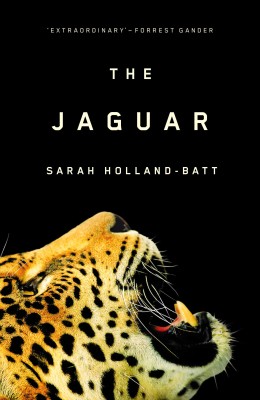 The Jaguar book cover.