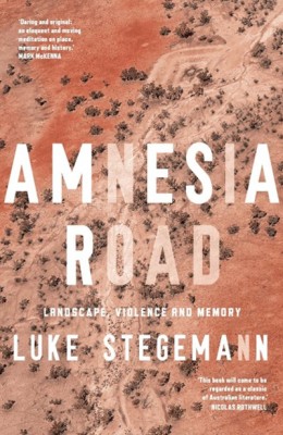 The cover of Amnesia Road by Luke Stegemann - An aerial view of red and brown dirt, with creek beds and some trees