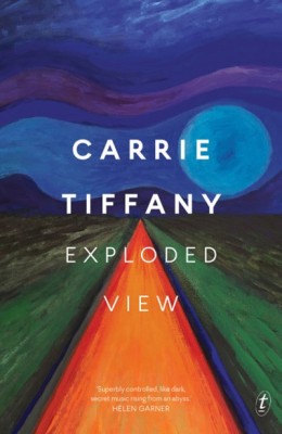 Exploded View by Carrie Tiffany (Text)