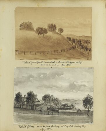Two drawing by J.H.P. Berthon of 'Lullote' Cottage from Rabbit Burrow East and 12 miles from Geelong at Drysdale facing Bay (1885).