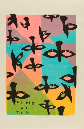 Birds of Tin 1981 music poster