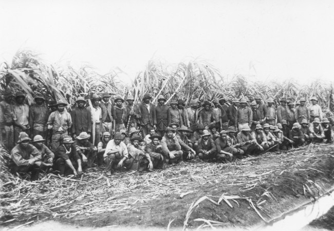 Australian South Sea Islander cane cutters on a sugar plantation in Queensland, n.d.
