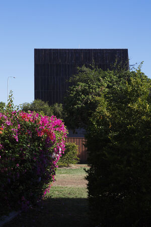Colour photograph of Tree of Knowledge Memorial, Barcaldine.