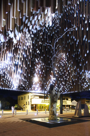 Colour photograph of Barcaldine's Tree of Knowledge Memorial at night.