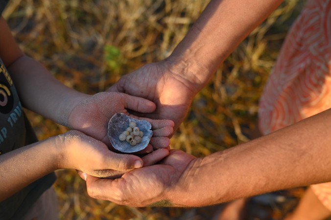 2024 Monica Clare Research Fellow, Sheridan Teitzel learning and documenting the medical and kinship use of plants from Western Cape York peninsula.