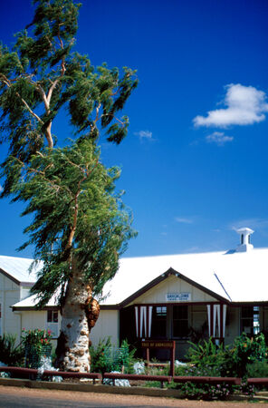 View of the 'Tree of Knowledge' and railway station, Barcaldine, Queensland, 1987 - colour photo