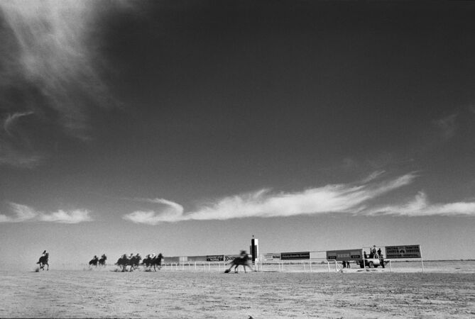 Horses racing on dusty outback track