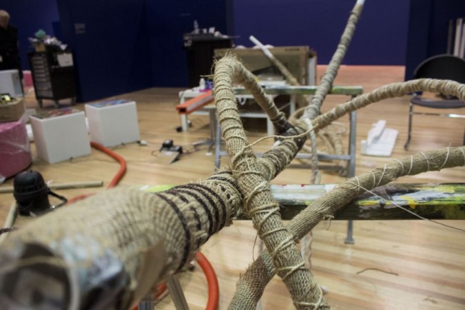 Mangrove trees installation, SLQ Gallery