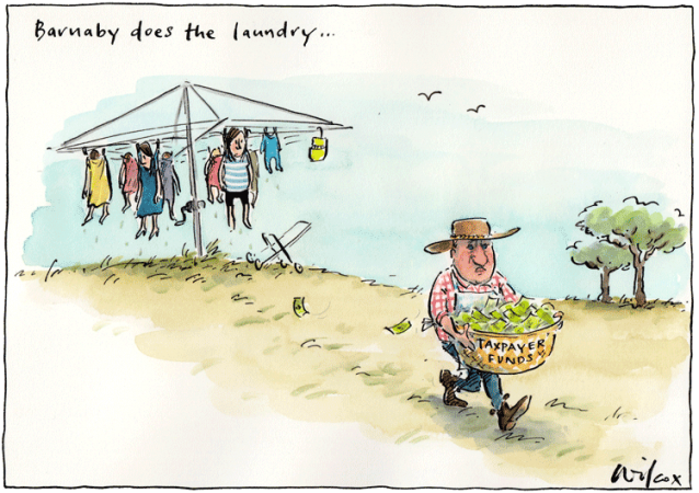 Hung out to Dry by Cathy Wilcox