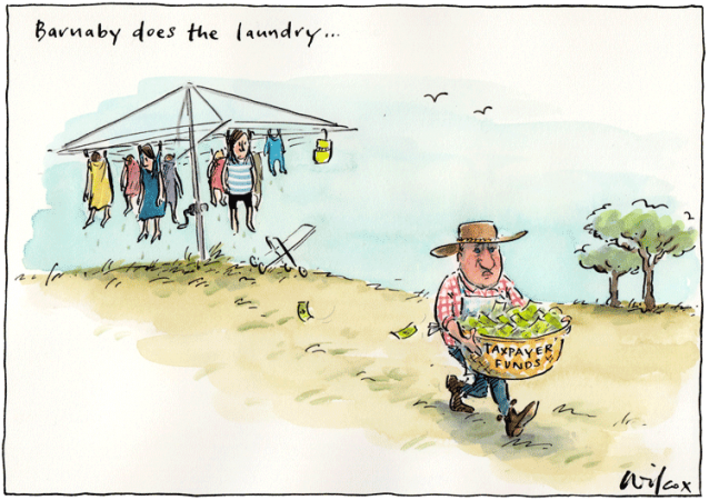 Hung out to Dry by Cathy Wilcox.