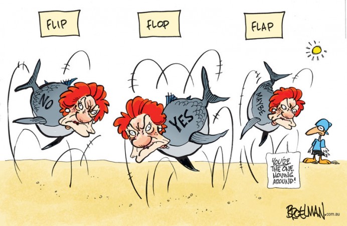 Hanson Flip-Flopping by Peter Brolman