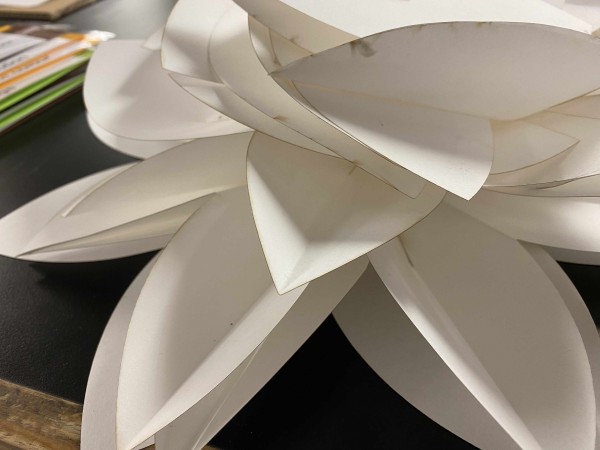 Paper Lotus - The lotus flower has its origins and roots in the muddy waters below the surface, yet above the water it is a beautiful resilient flower. After a consultative process the Lotus Flower was chosen as both a metaphor and image to represent the journey from adversity to hope.