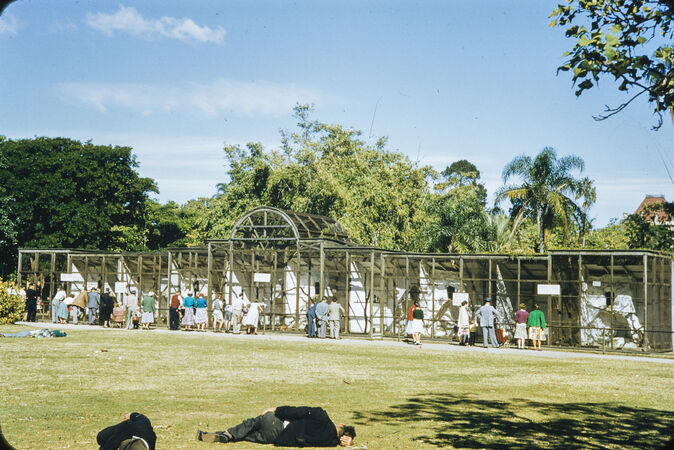 Colour photo showing a crowd of people looking into cages at Brisbane's City Botanic Gardens