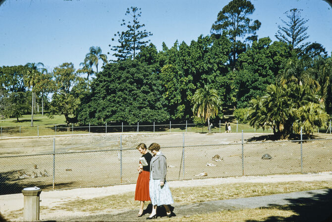 Two women walking past kangaroos in the main enclosure in the Brisbane Botanic Gardens in 1956