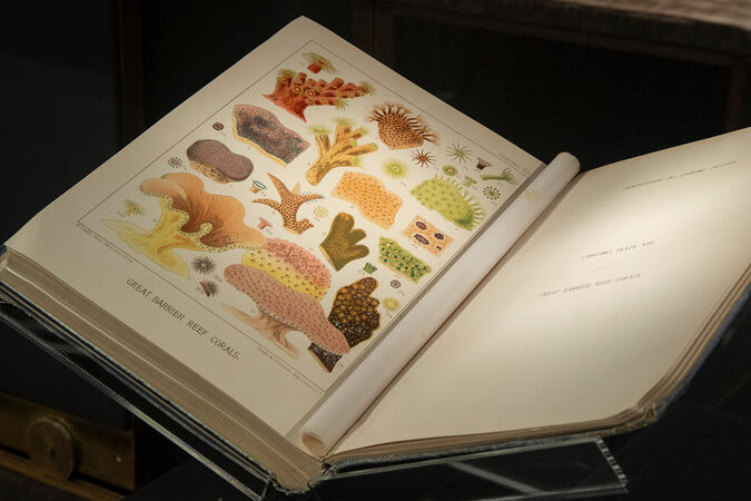 The Great Barrier Reef of Australia: its products and potentialities, 1893 by William Saville-Kent.