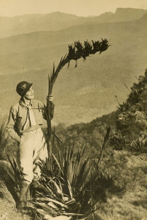 Marjorie Clelland with giant spear lily