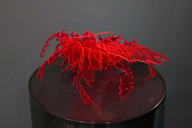 A photo of a neon bright coloured acrylic sculpture that was cut on the laser cutter at The Edge. The sculpture is in the shape of  a large cockroach. 