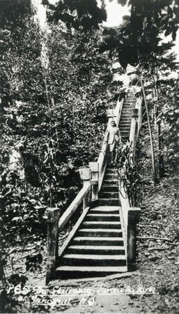 Staircase built by Jose Paronella. 