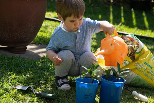 A child watering plants in an outdoor area
