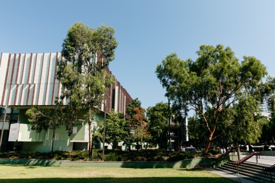 State Library building and gardens