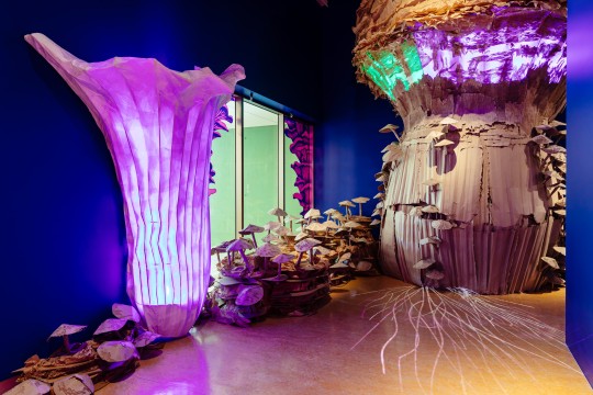 A very large cardboard mushroom with purple and green lights behind a medium size cardboard mushroom with purple lights Both mushrooms are surrounded by smaller cardboard mushrooms
