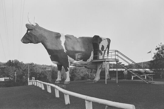 Large statue of a cow with horns.
