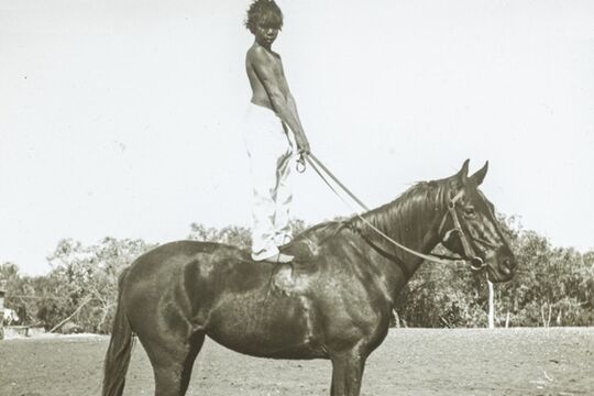 Pound, C. J. Young boy standing on the back of a horse, Bulloo River, Queensland, 1897.